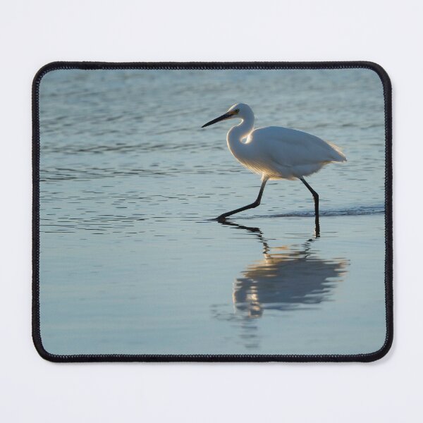 Item preview, Egret Wading in Golden Morning Light designed and sold by Barry Callister Photography.