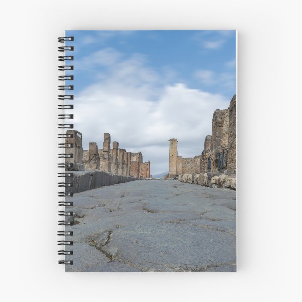 Item preview, Pompeii Main Street Italy designed and sold by RJW Images.