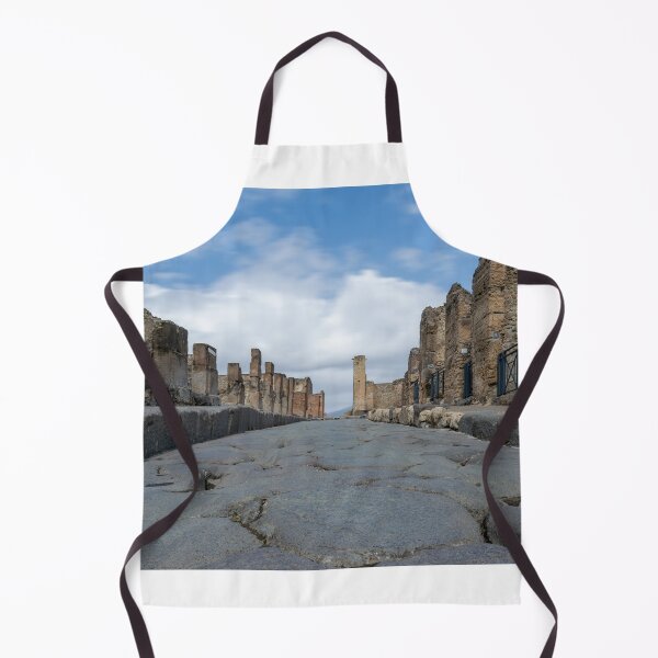 Item preview, Pompeii Main Street Italy designed and sold by RJW Images.