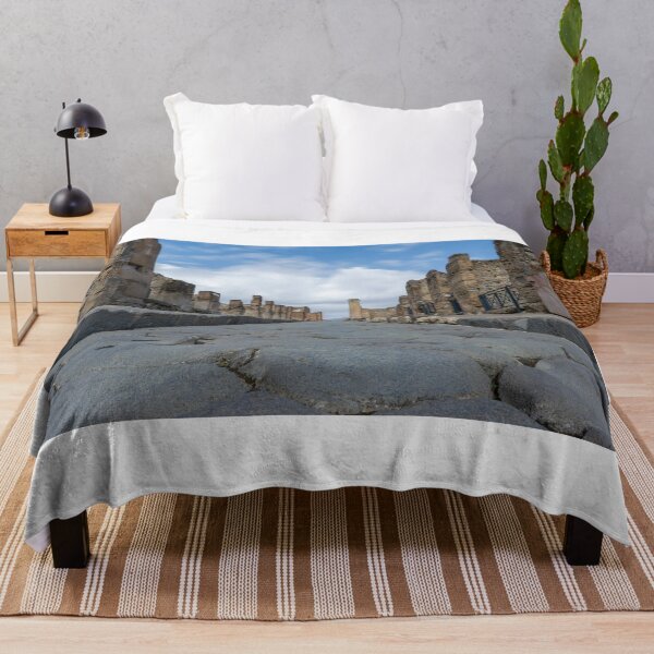 Item preview, Pompeii Main Street Italy designed and sold by RJW Images.