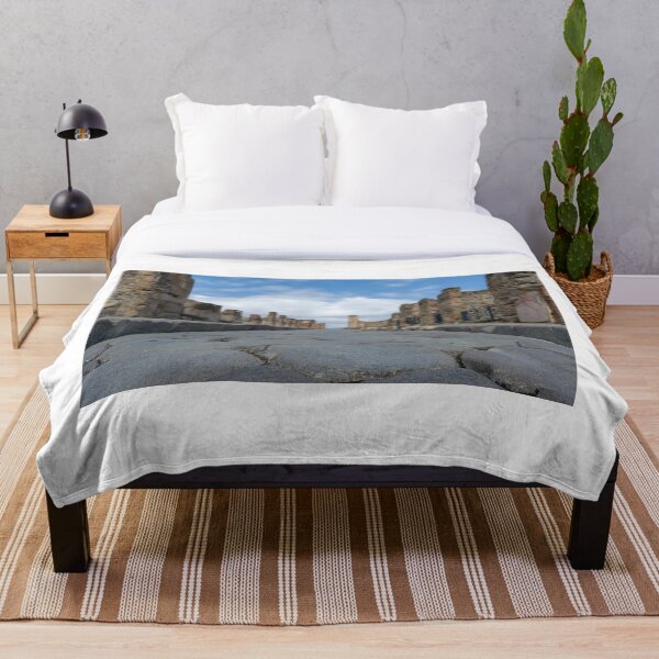 Item preview, Pompeii Main Street Italy designed and sold by RJW Images.
