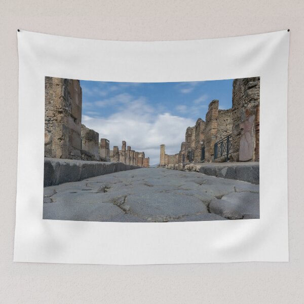 Item preview, Pompeii Main Street Italy designed and sold by RJW Images.