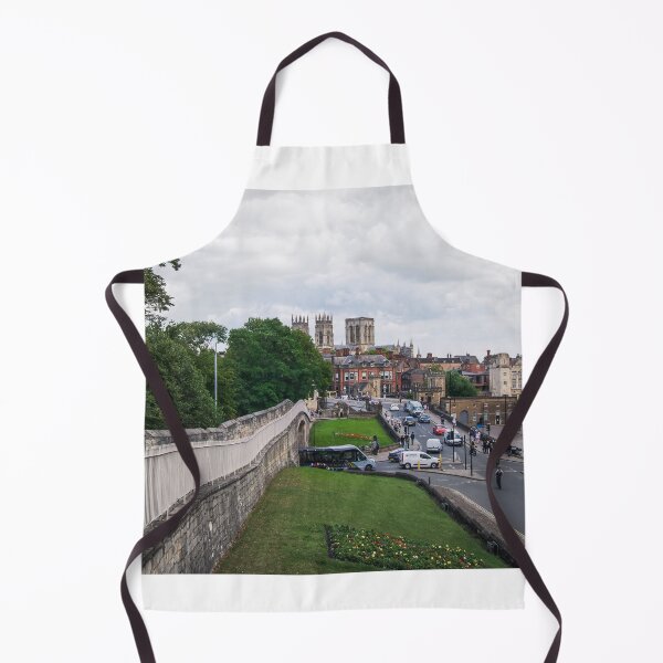 Artikelvorschau, York Minster von der Lendal Bridge aus gesehen entworfen und verkauft von RJW Images.