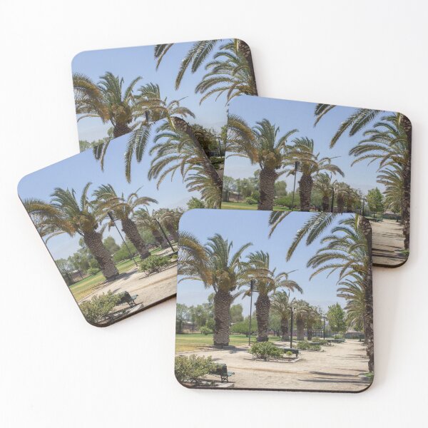 Item preview, palm tree path in the park designed and sold by PolinkCreaFotos.
