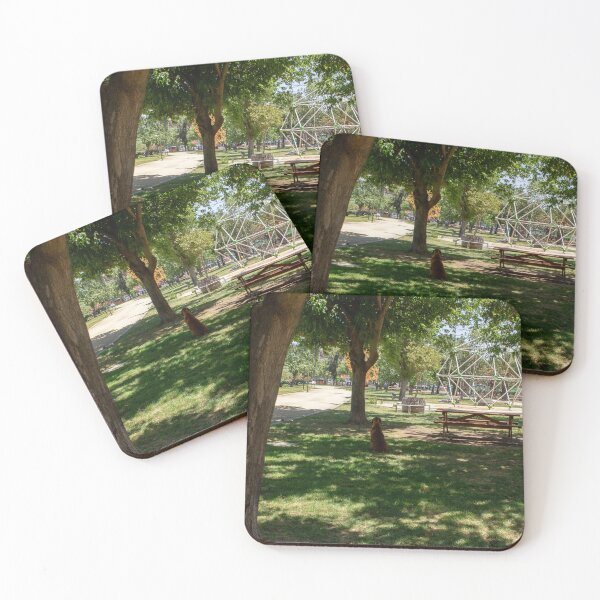Item preview, the lonely dog ​​in the park designed and sold by PolinkCreaFotos.