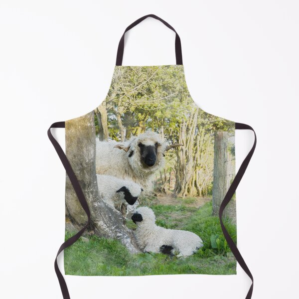 Item preview, The Twins With Mum Watercolour Photograph - Valais Blacknose Lambs designed and sold by Jane Stanley Photography.