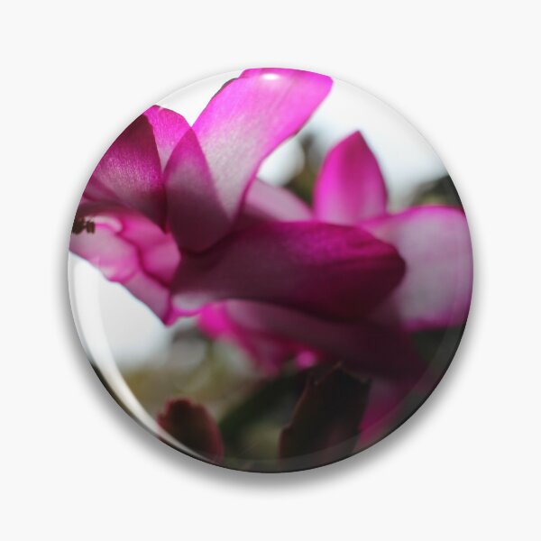 Item preview, Something Magical About a Christmas Cactus designed and sold by Betsy Phillips.