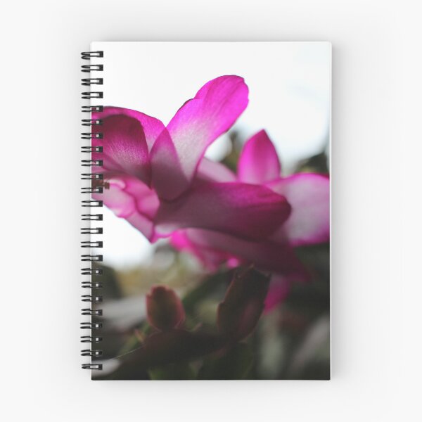 Item preview, Something Magical About a Christmas Cactus designed and sold by Betsy Phillips.