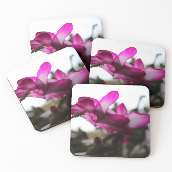 Item preview, Something Magical About a Christmas Cactus designed and sold by Betsy Phillips.