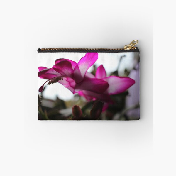 Item preview, Something Magical About a Christmas Cactus designed and sold by Betsy Phillips.
