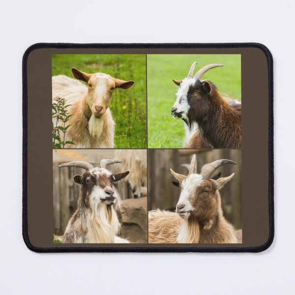 Item preview, Goat Collage designed and sold by Jane Stanley Photography.