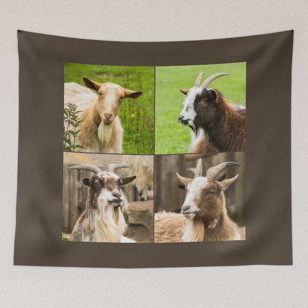 Item preview, Goat Collage designed and sold by Jane Stanley Photography.