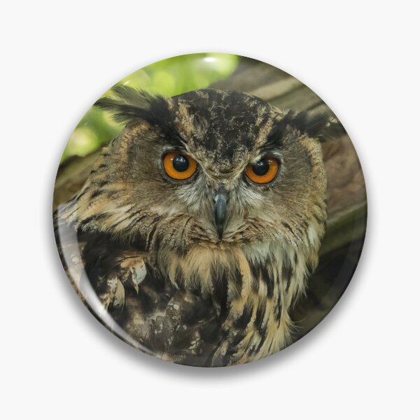 Item preview, Eurasian Eagle Owl designed and sold by Jane Stanley Photography.