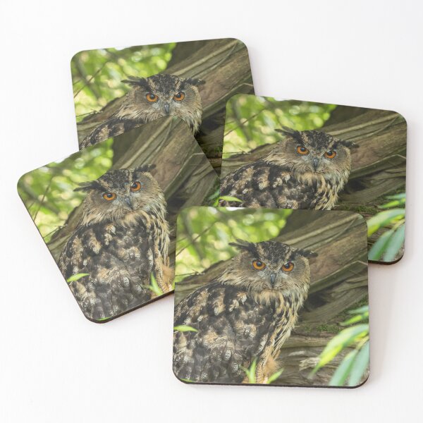 Item preview, Eurasian Eagle Owl designed and sold by Jane Stanley Photography.