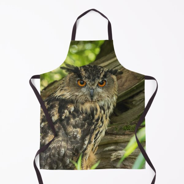 Item preview, Eurasian Eagle Owl designed and sold by Jane Stanley Photography.