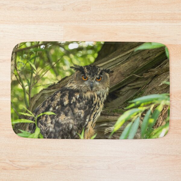 Item preview, Eurasian Eagle Owl designed and sold by Jane Stanley Photography.