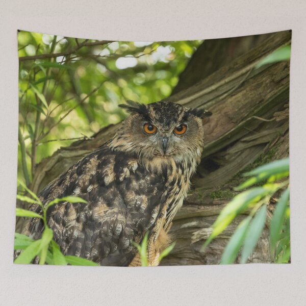 Item preview, Eurasian Eagle Owl designed and sold by Jane Stanley Photography.