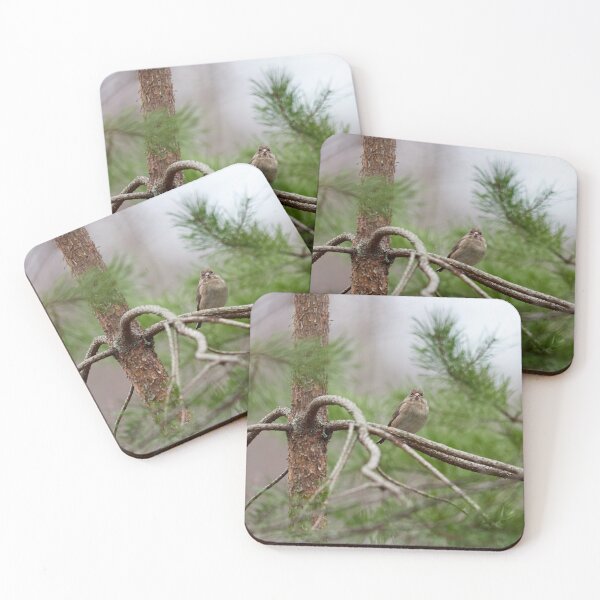 Item preview, On the pine. Greenfinch designed and sold by Jouko Lehto Photography.