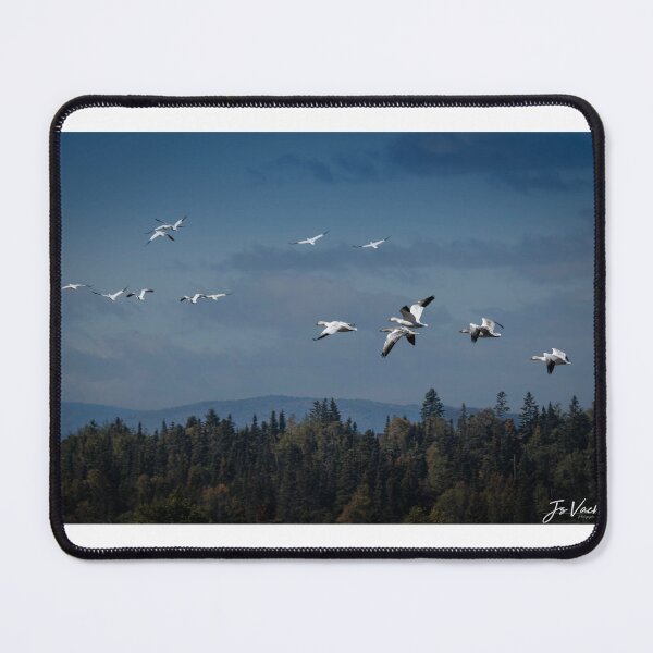 Item preview, Another migration designed and sold by jsvachon.