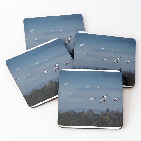 Item preview, Another migration designed and sold by jsvachon.