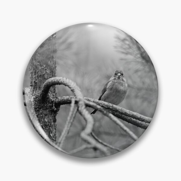Item preview, On the pine. Greenfinch bw designed and sold by Jouko Lehto Photography.