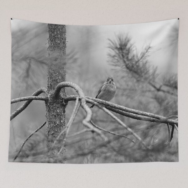 Item preview, On the pine. Greenfinch bw designed and sold by Jouko Lehto Photography.