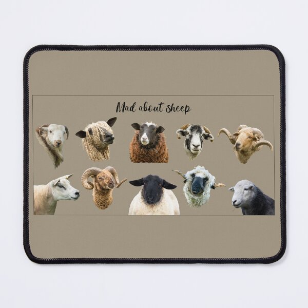 Item preview, Mad About Sheep Placement Print II designed and sold by Jane Stanley Photography.
