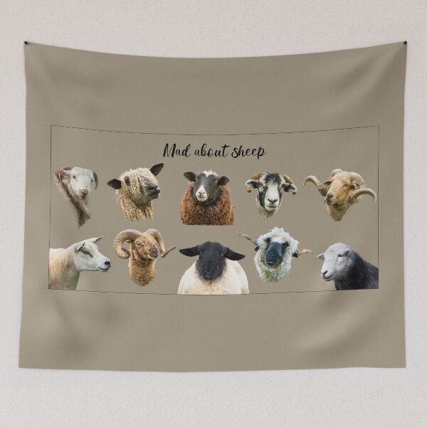 Item preview, Mad About Sheep Placement Print II designed and sold by Jane Stanley Photography.