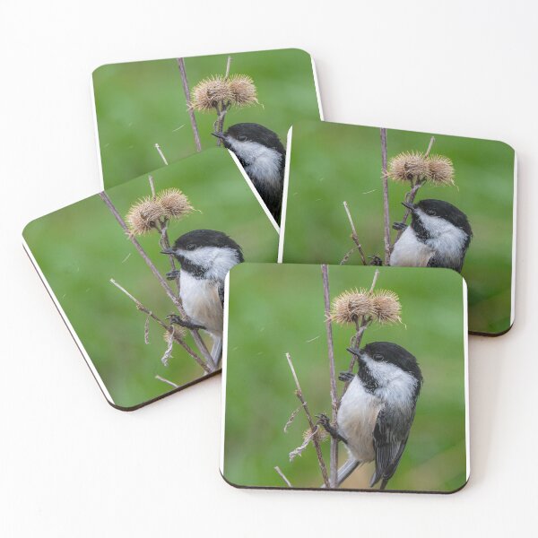 Item preview, Black capped chickadee designed and sold by jsvachon.