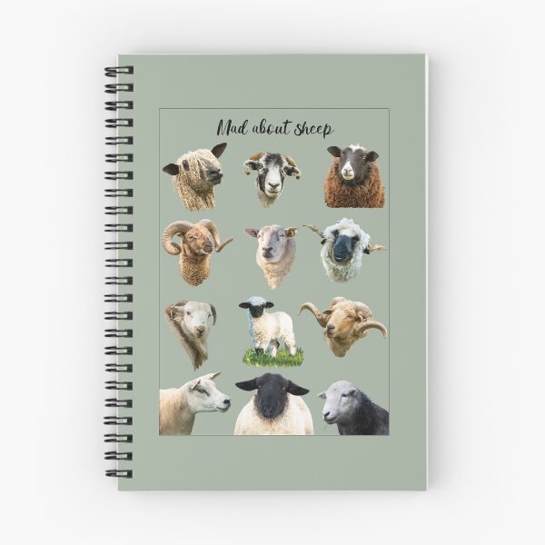 Item preview, Mad About Sheep Placement Print designed and sold by Jane Stanley Photography.
