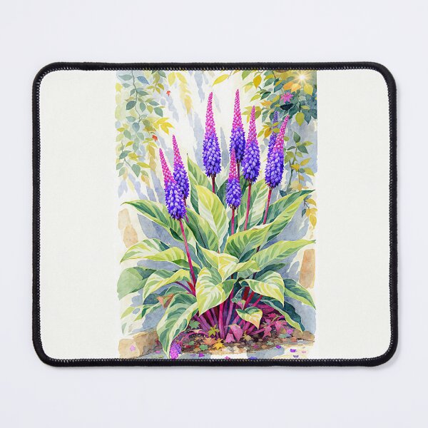 Item preview, Aechmea Blue Tango #4 designed and sold by Helios Be. Lavsh.