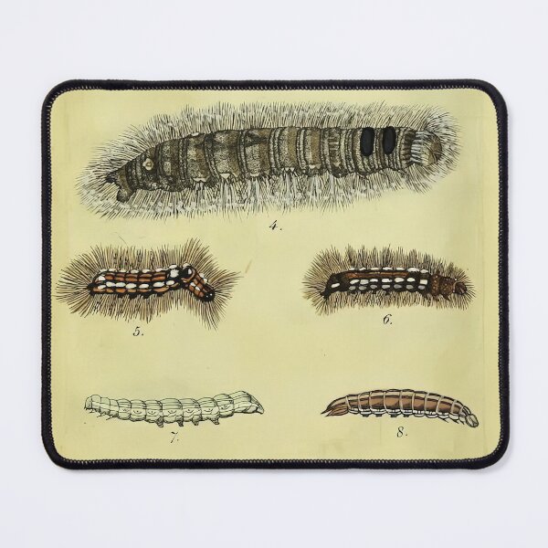 Item preview, German Caterpillar Calendar 1837 Vintage Illustration designed and sold by Retr0Tshirts.