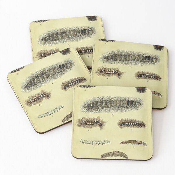 Item preview, German Caterpillar Calendar 1837 Vintage Illustration designed and sold by Retr0Tshirts.