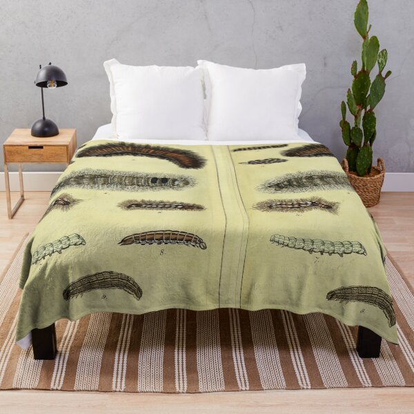Item preview, German Caterpillar Calendar 1837 Vintage Illustration designed and sold by Retr0Tshirts.