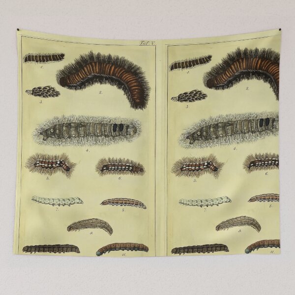 Item preview, German Caterpillar Calendar 1837 Vintage Illustration designed and sold by Retr0Tshirts.