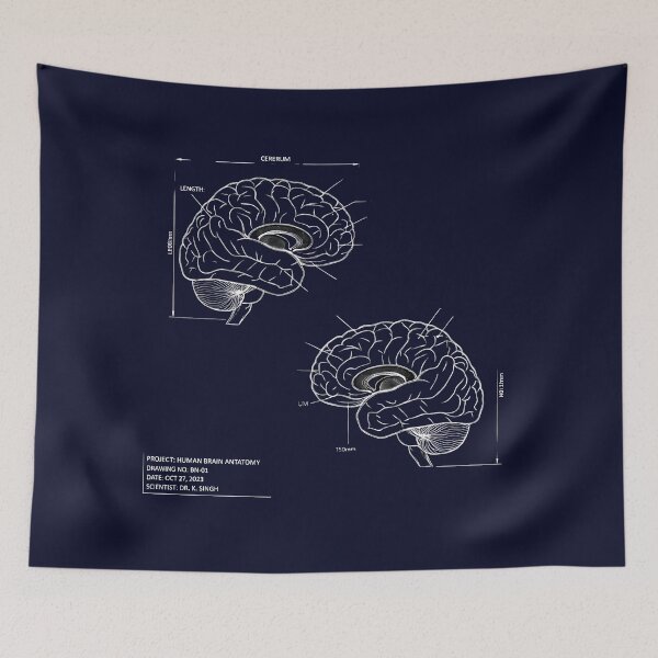 Item preview, Human Brain Anatomy Blueprint - Neuroscience Schematic designed and sold by Dakson Design - Fantasy Art.