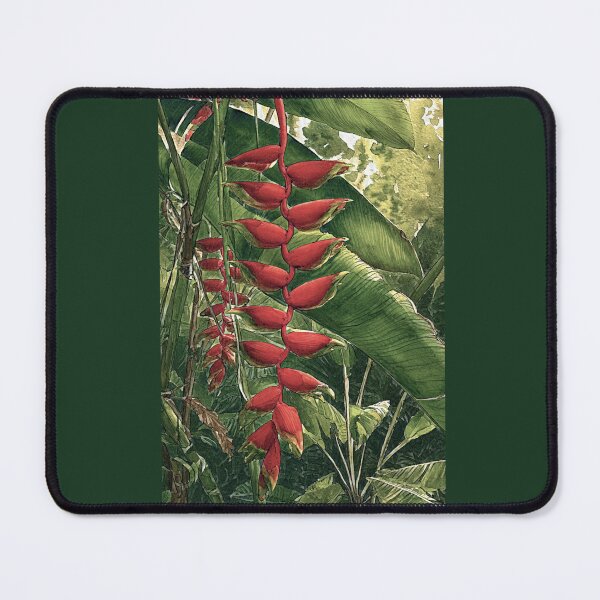 Item preview, Hanging lobster claw or Parrot’s beak designed and sold by Helios Be. Lavsh.
