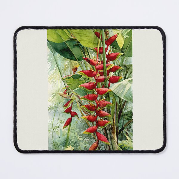 Item preview, Hanging lobster claw or Parrot’s beak#2 designed and sold by Helios Be. Lavsh.