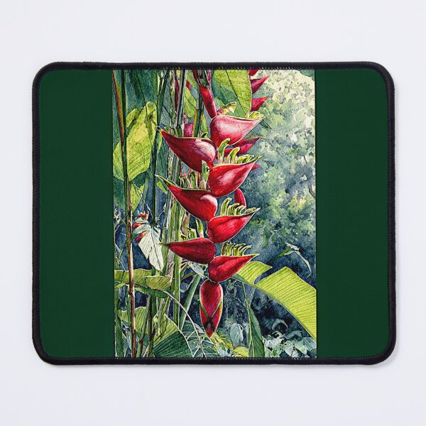 Item preview, Hanging lobster claw or Parrot’s beak#3 designed and sold by Helios Be. Lavsh.