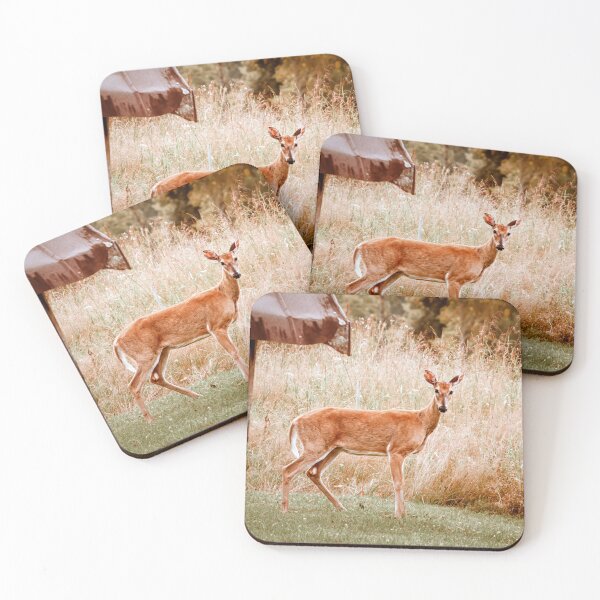 Item preview, Tender Curiosity designed and sold by Jim Love.