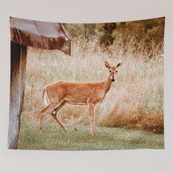 Item preview, Tender Curiosity designed and sold by Jim Love.