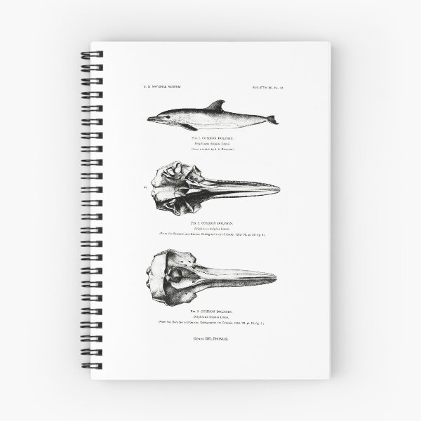 Item preview, Dolphins : Page 7 designed and sold by Museum-GiftShop.