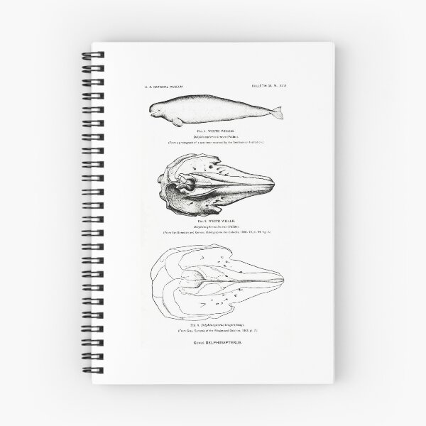 Item preview, Whales : Page 12 designed and sold by Museum-GiftShop.