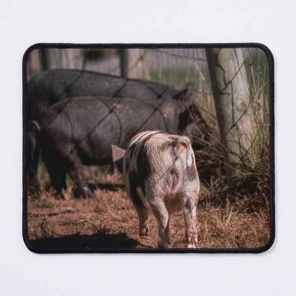 Item preview, This Little Piggy designed and sold by Jim Love.