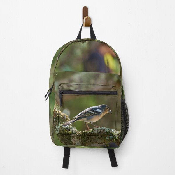 Item preview, Blue chaffinch male in Anaga forest designed and sold by Imagerisium.