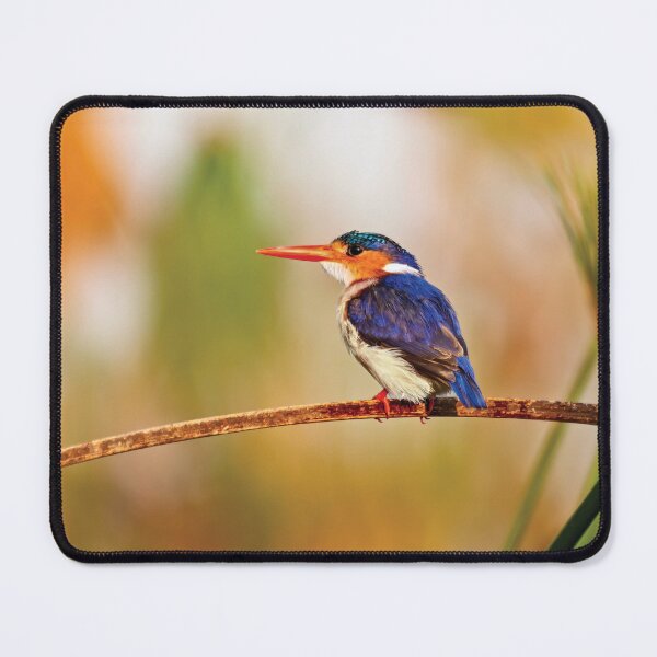 Item preview, Malachite Kingfisher Hunting designed and sold by Kay Brewer.