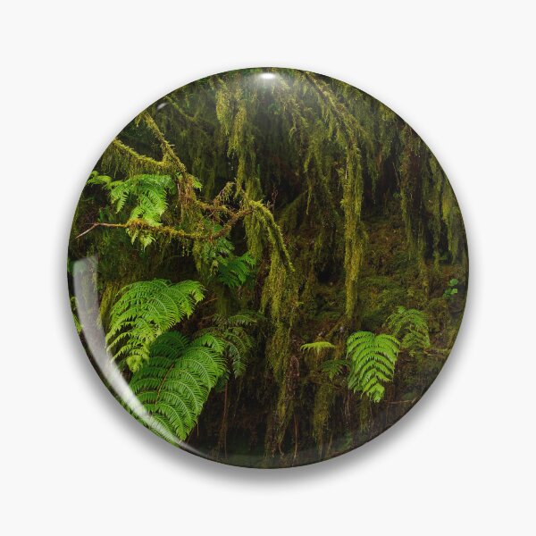 Item preview, Ferns and moss in Anaga forest designed and sold by Imagerisium.