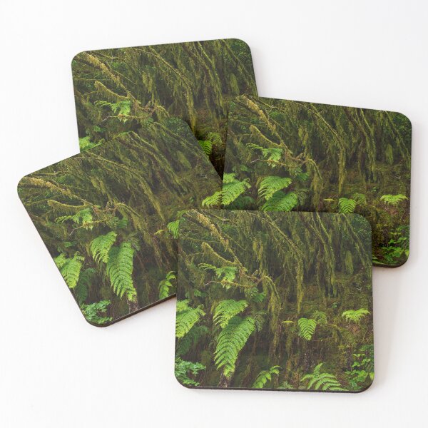 Item preview, Ferns and moss in Anaga forest designed and sold by Imagerisium.
