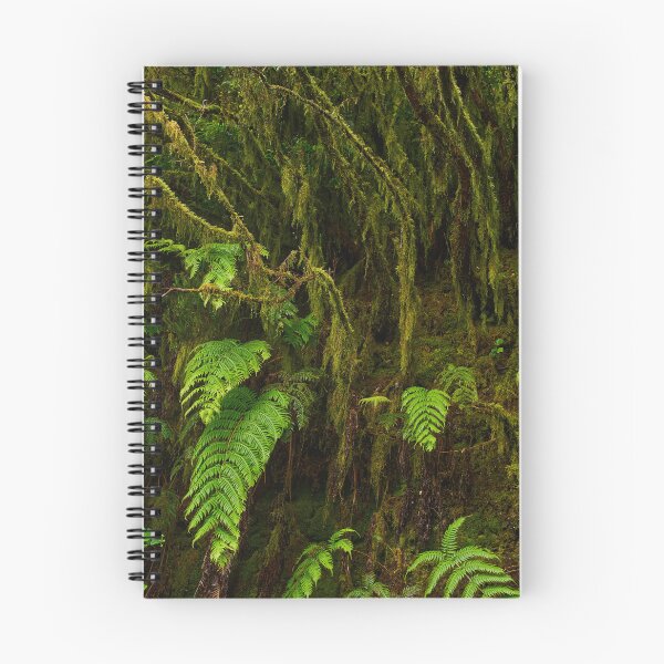 Item preview, Ferns and moss in Anaga forest designed and sold by Imagerisium.