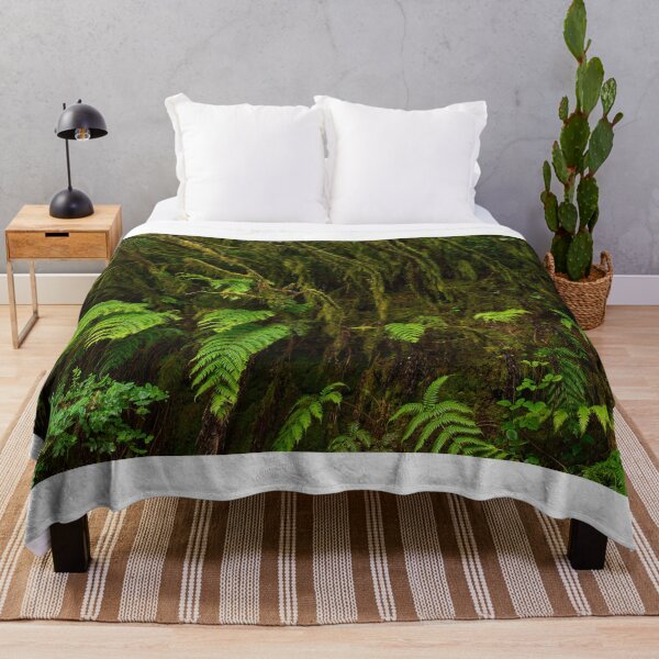 Item preview, Ferns and moss in Anaga forest designed and sold by Imagerisium.